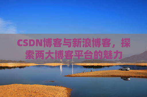 CSDN博客与新浪博客，探索两大博客平台的魅力